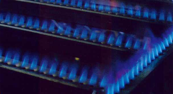 Bruciatori a gas rettangolari multipli PFA-620